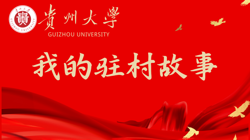 【我的驻村故事】向远林：“乡村规划”与“乡村振兴”的融合之路