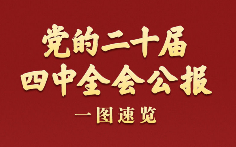 “图话”党的二十届四中全会公报